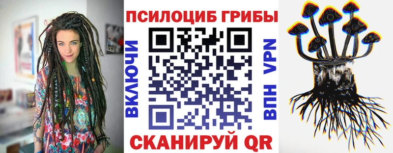 MEGA как войти Сосенский Галлюциногенные грибы MAGIC MUSHROOMS