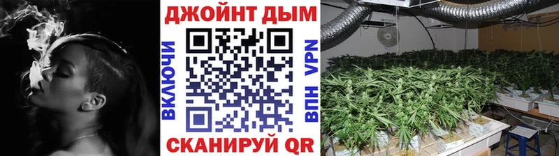 Конопля гибрид  MEGA вход  Сосенский 